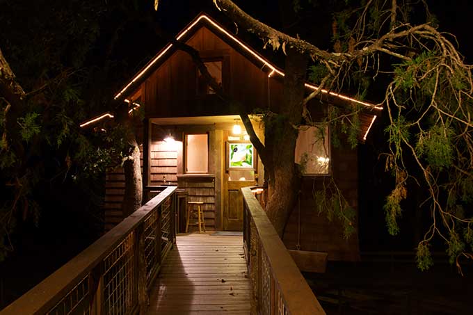 Treehouse at night